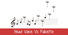 Head voice Versus Falsetto